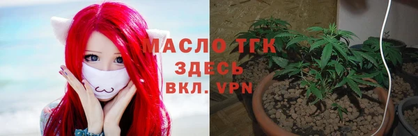 mdpv Снежногорск