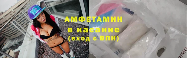 твердый Аркадак