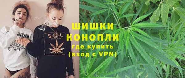 МДПВ Слюдянка