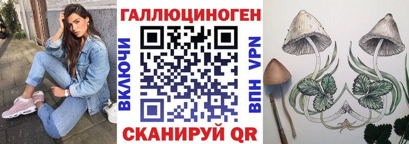 купить Волхов Псилоцибиновые грибы ЛСД