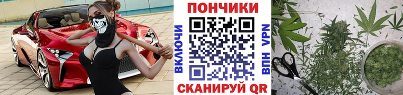 Шишки марихуана ГИДРОПОН  продажа наркотиков  Волхов 
